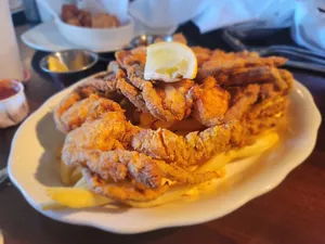 calamari in Arlington