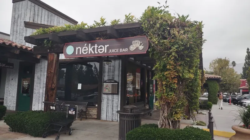 brazilian restaurants Nekter Juice Bar