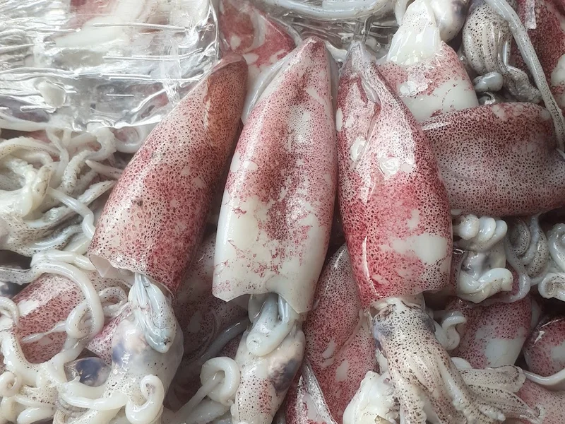 Trà Sữa ToCoToCo Nguyễn Thị Tú