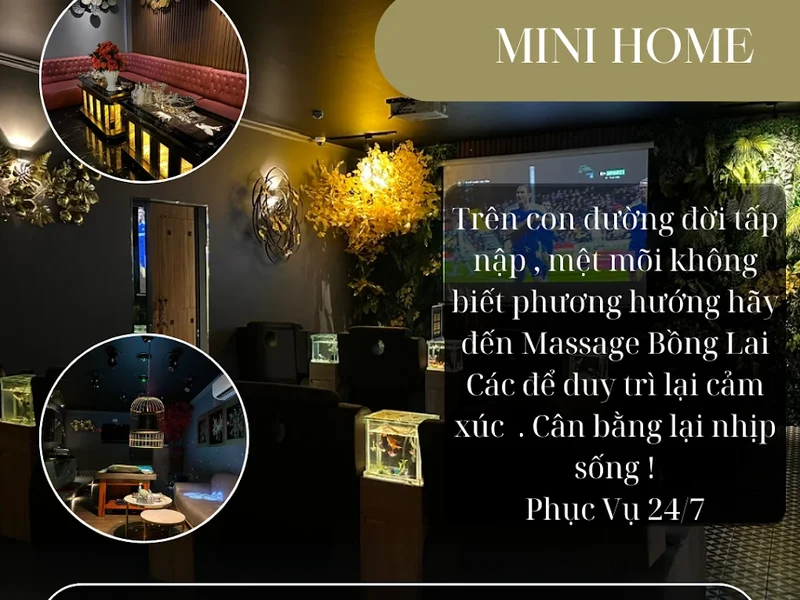 BỒNG LAI CÁC MASSAGE