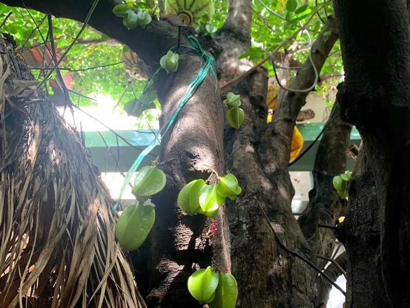 Cơm quê Mười Khó