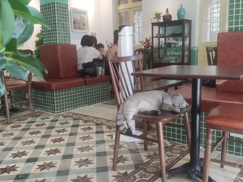 Camellia Tea & Coffee