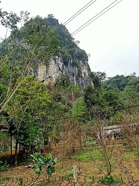 Lẩu Ngon