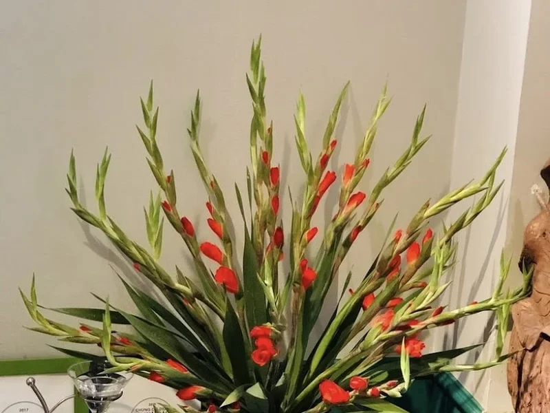 Nhà hàng chay và cà phê Bông Súng Vegetarian Food & Coffee