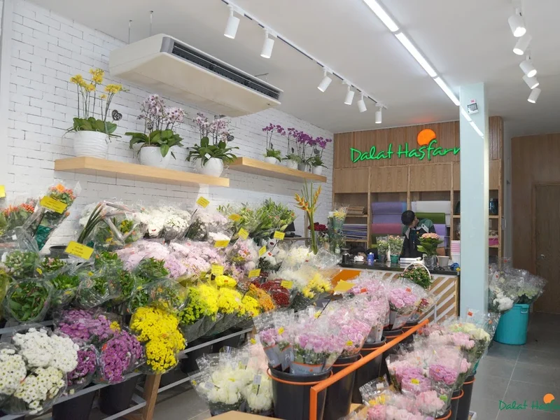 Dalat Hasfarm