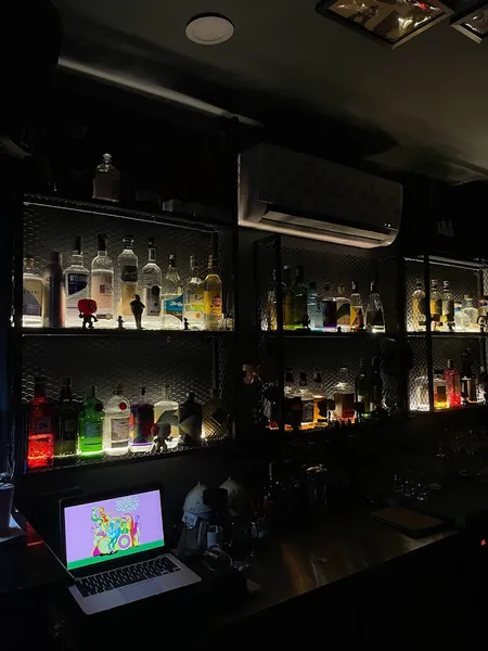 LIB. Hidden Bar