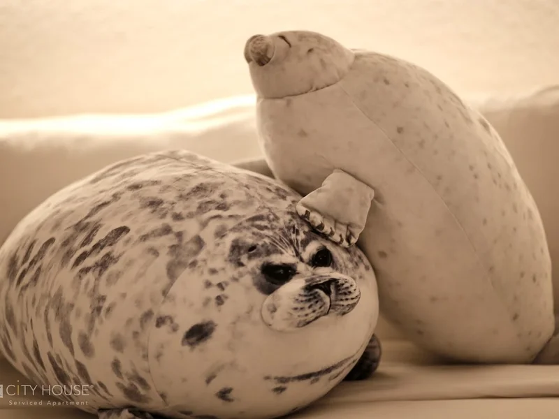 CityHouse - City Oasis