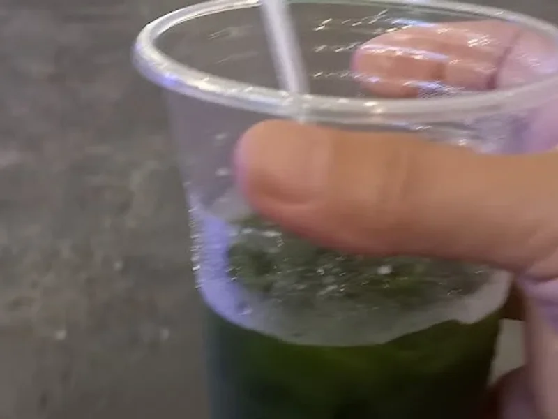 New York Thiên Phúc