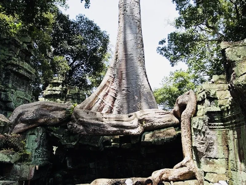 Lữ Hành Sài Gòn - Công Ty Du Lịch Lữ Hành Sài Gòn