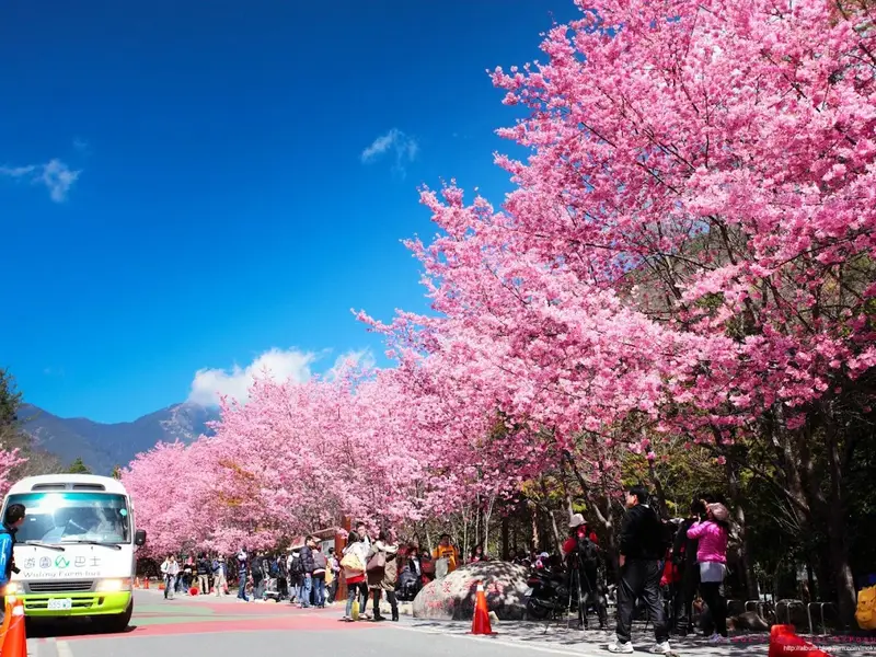 Công Ty Cổ Phần Du Lịch Intertour Việt Nam