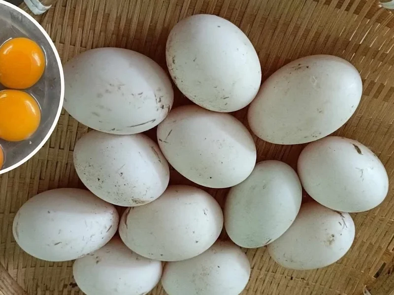 Địa Điểm Ăn Uống