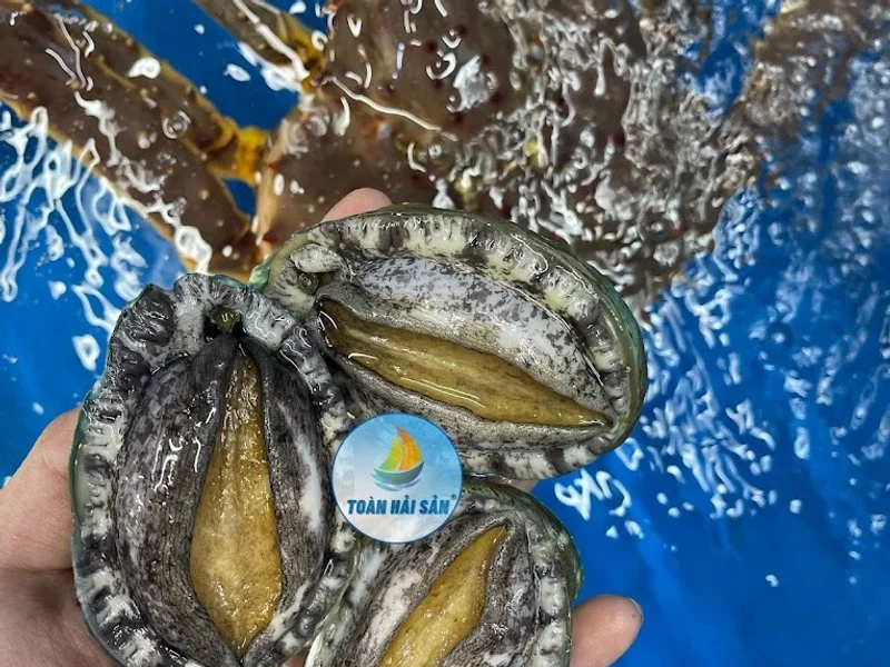 Toàn Hải Sản - Vựa Hải Sản Tươi Sống - Phạm Phú Thứ Quận 6