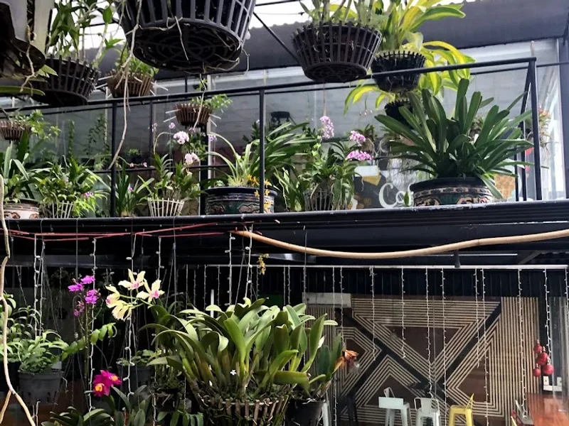 Vườn Lan Coffee & Tea | Cà phê ngon Củ Chi