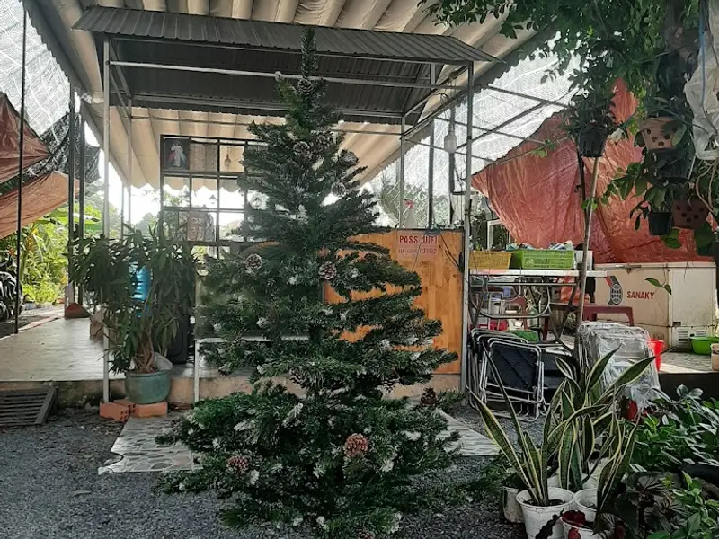 Sân vườn củ chi