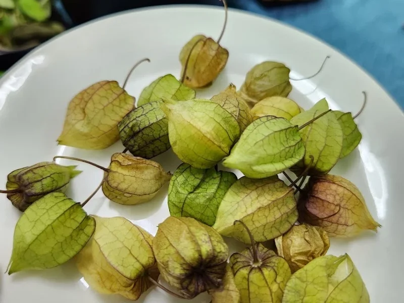 Quán Ăn Sân Vườn Mộng Mơ