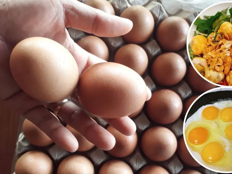 Địa Điểm Ăn Uống