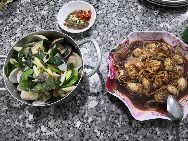 Ốc thùy trang