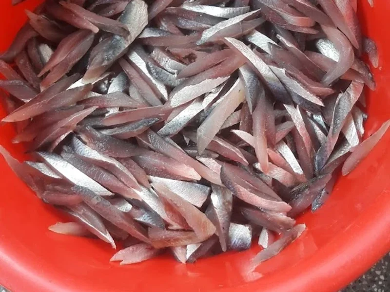 Gỏi cá trích Quảng Nam