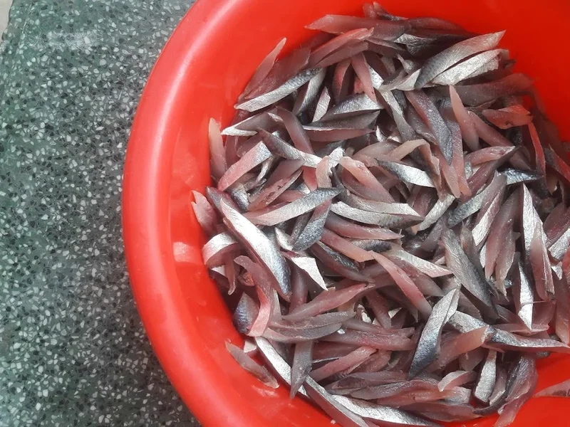 Gỏi cá trích Quảng Nam