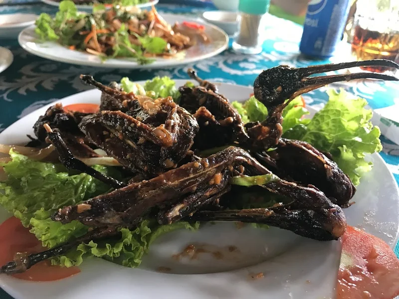 Quán Ăn Tràm Chim