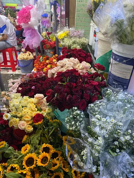 Shop Hoa Tươi Lê Tuyết