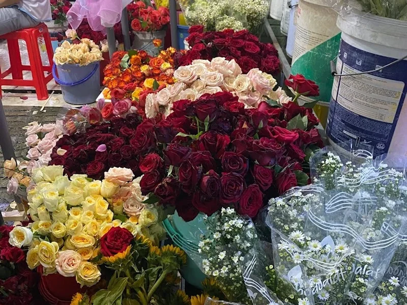 Shop Hoa Tươi Lê Tuyết