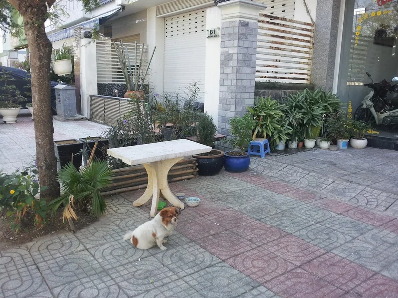 Khách Sạn Thành Vân