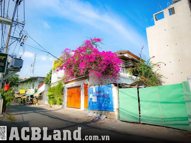 Khu Biệt Thự Kiều Đàm Quận 7