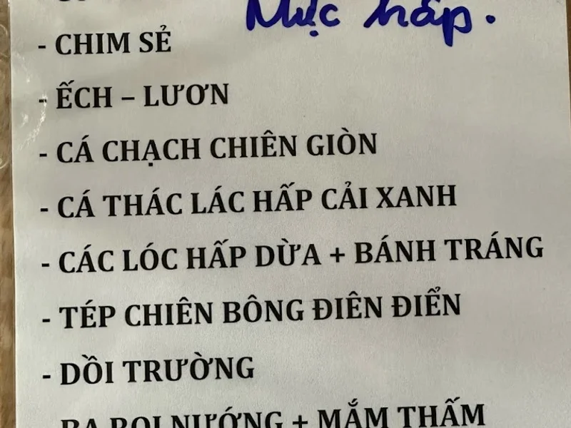 Cây Cọ Quán