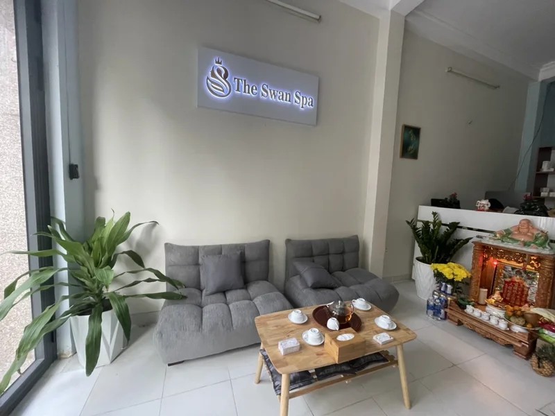 THE SWAN SPA