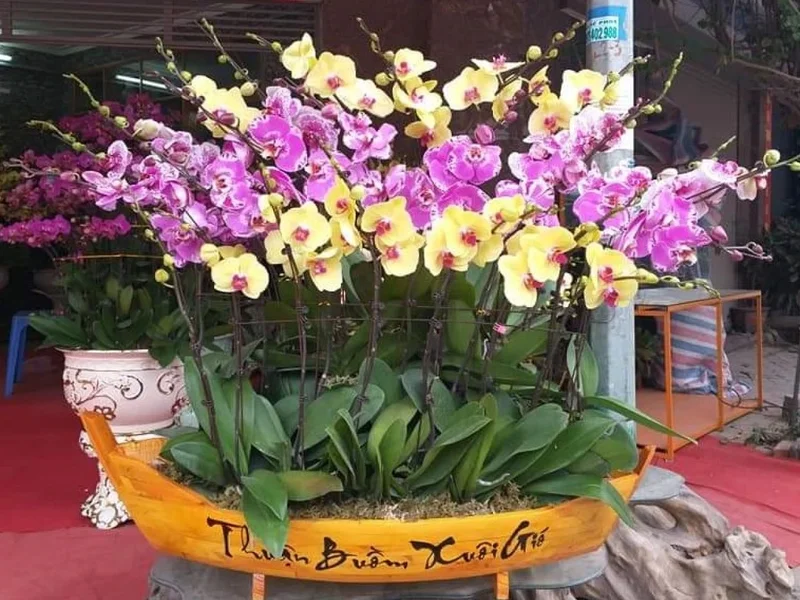 Hoa tươi Hồ Thị Kỷ (Hoa yêu thương)