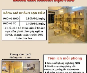 quán trà sữa tại Phường 4 Quận 10