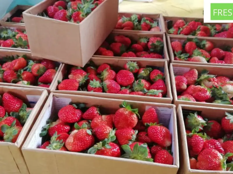 Fresh Plus - Quận 10