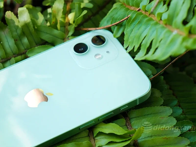 Di Động Xanh - Cửa hàng bán iPhone uy tín tại TPHCM