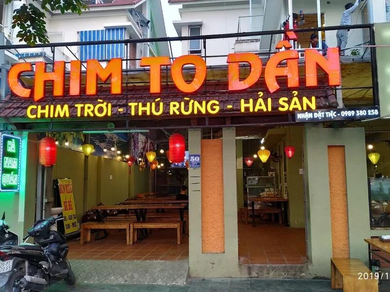 Chim To Dần Hà Nam Quán