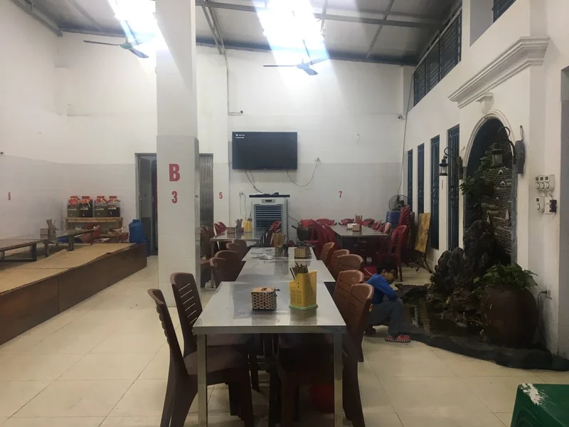 VỊT 262- Vịt cỏ Vân Đình