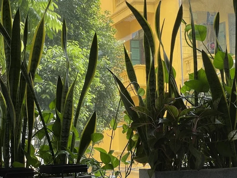 헤어살롱 몰리 Hair Salon Moly