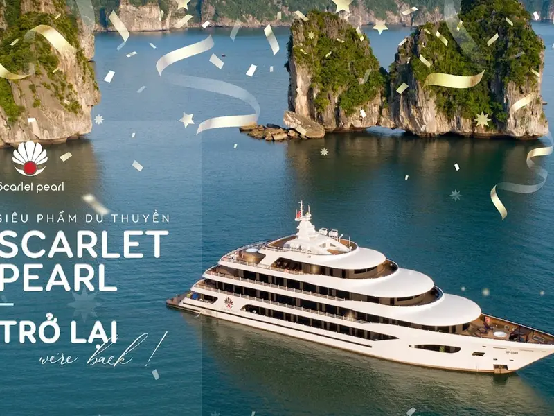 Công Ty Dịch Vụ Du Lịch Wind Travel