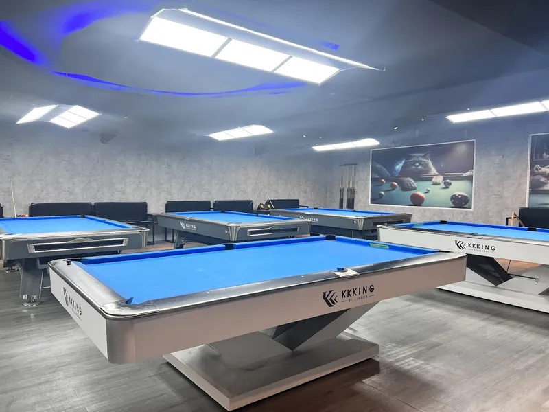 Pegasus: Game Net & Billiards