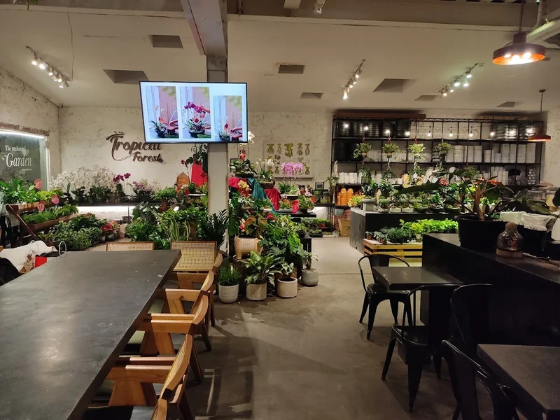 ForDeer Coffee - Tropical Forest