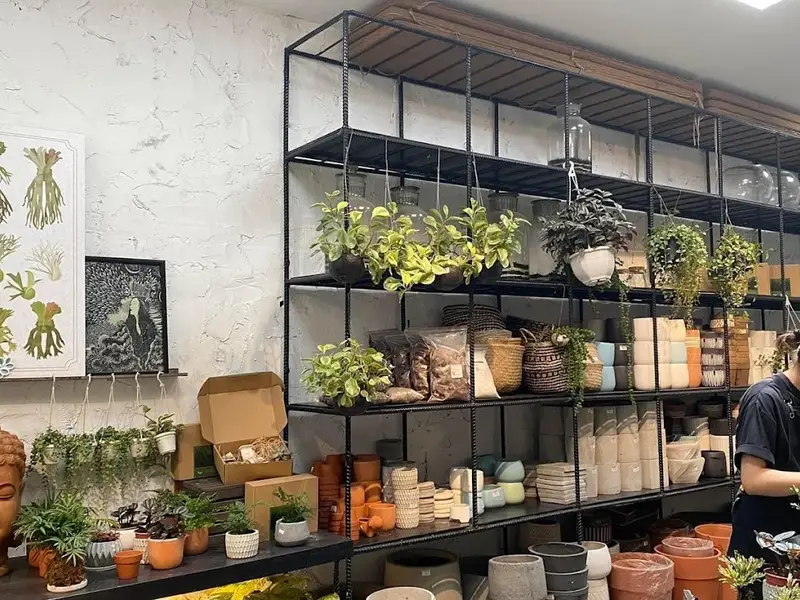 ForDeer Coffee - Tropical Forest