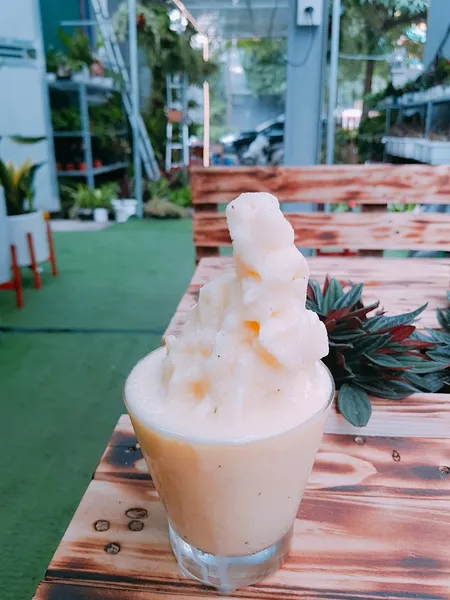 Vườn Ươm SunShine Cafe