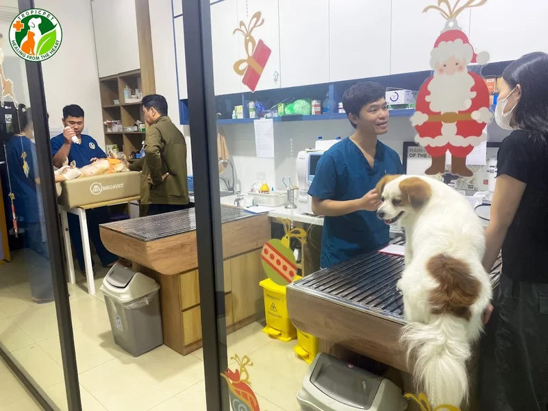 Bệnh Viện Thú Y Tropicpet Kim Mã