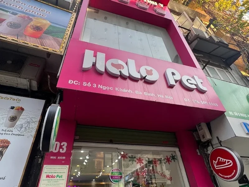 Bệnh viện thú y Halo Pet Ba Đình.