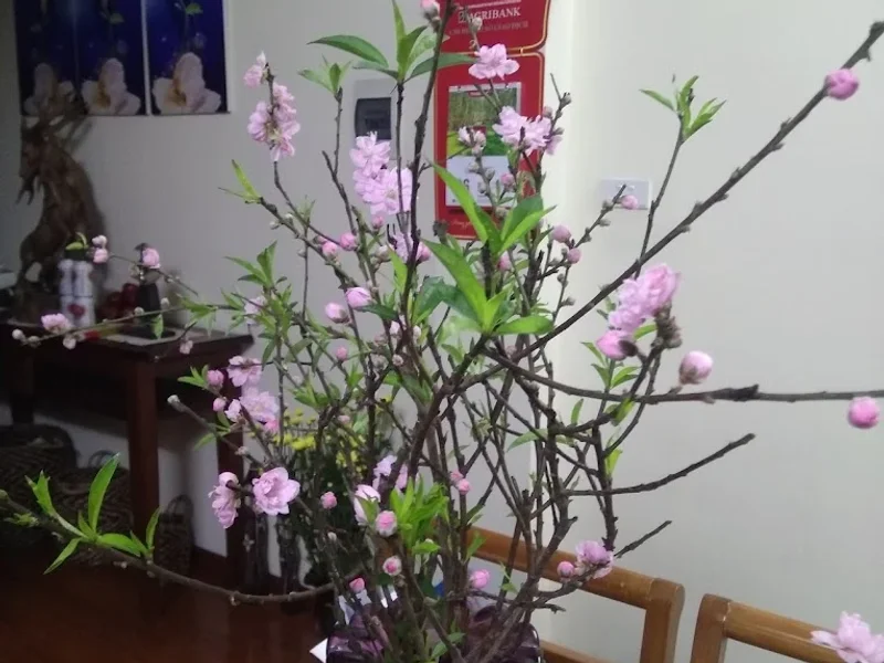 Nhà nghỉ Huệ Anh