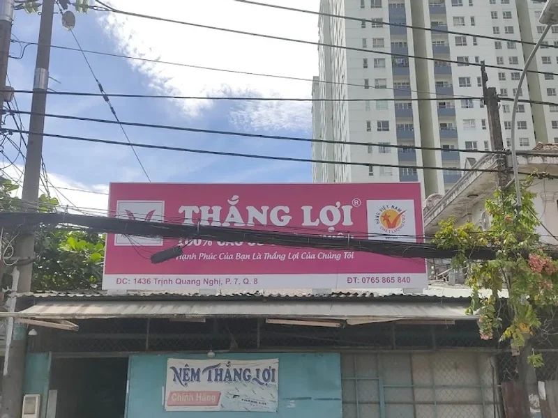 Đại lý nệm Thắng Lợi Quận 8