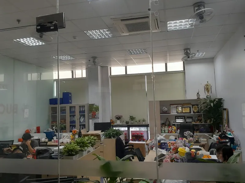 Decor Báo Hồng