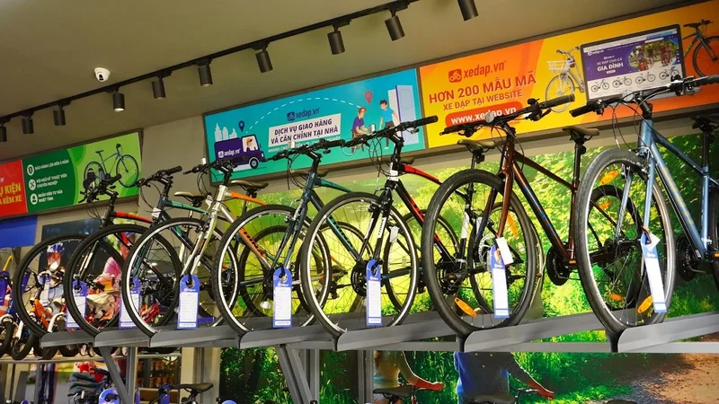 Hệ thống cửa hàng xe đạp Xedap.vn - Chi nhánh 123 Nguyễn Đức Cảnh, Quận 7