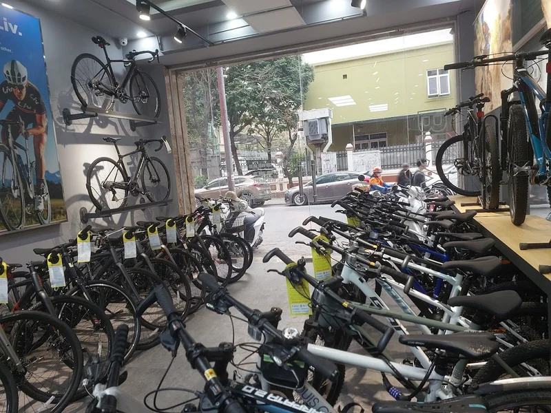 XE ĐẠP 88 - Xe Đạp Thể Thao Địa Hình GIANT