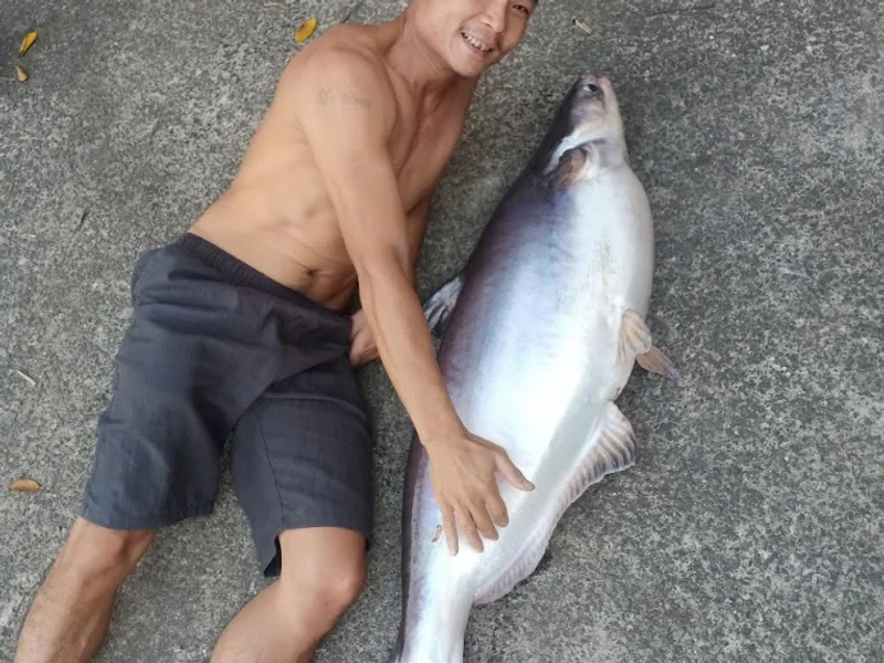 Hồ Câu Cá Hạ Vy